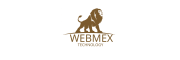 Webmex Technology